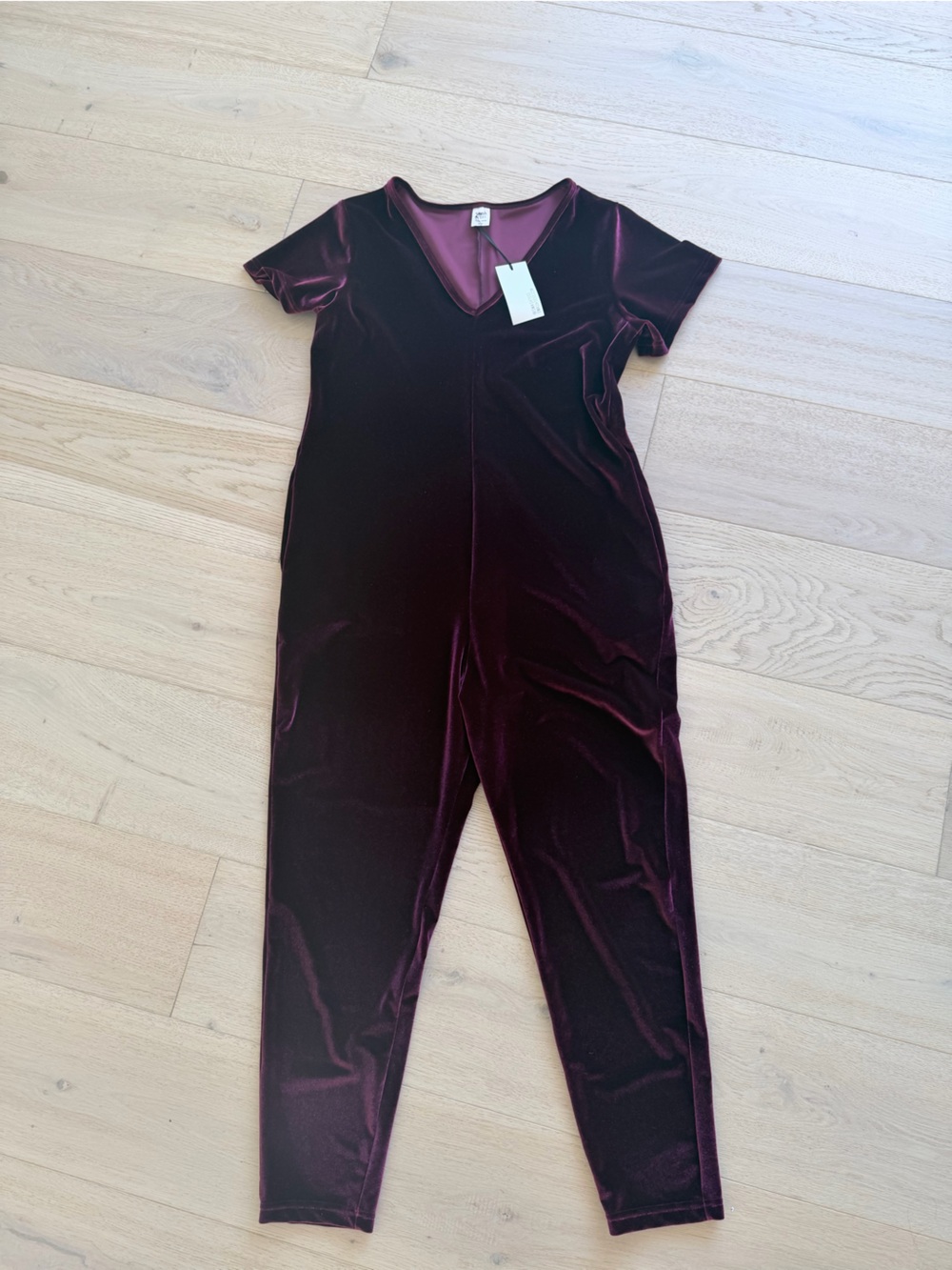 NWT Smash + Tess Velvet Dress in Wine Pink